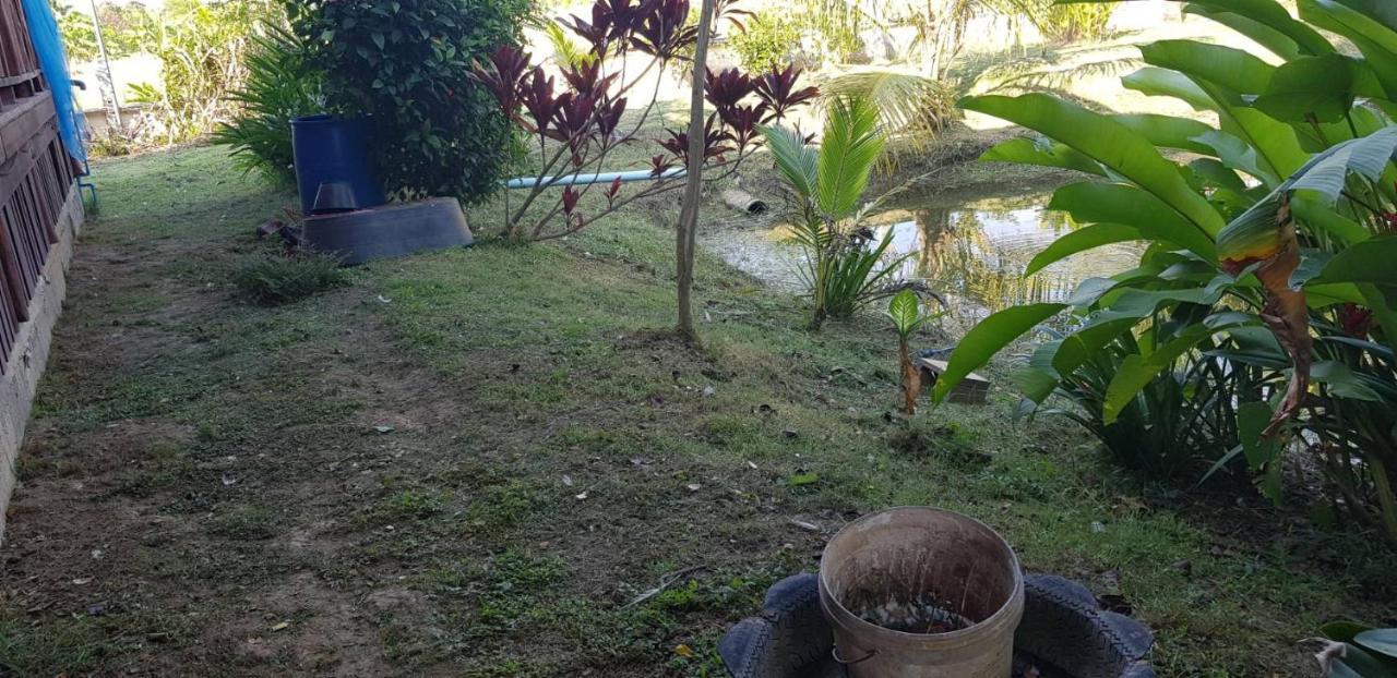 Ban Chang Klang Na Nong ap Chang المظهر الخارجي الصورة