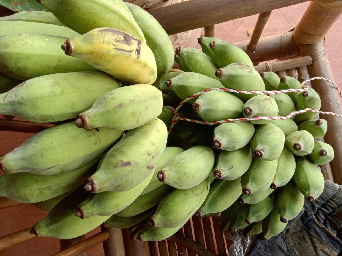 Ban Chang Klang Na Nong ap Chang المظهر الخارجي الصورة