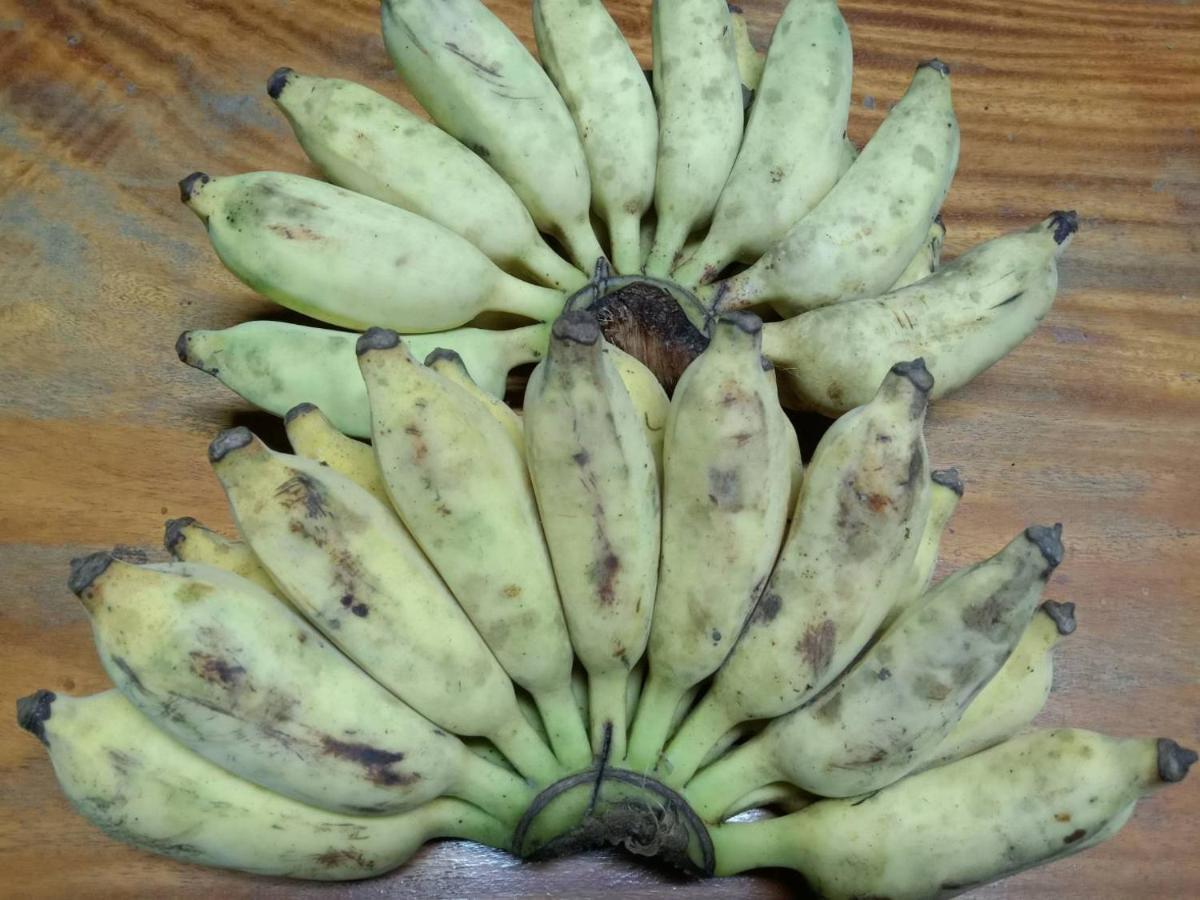 Ban Chang Klang Na Nong ap Chang المظهر الخارجي الصورة